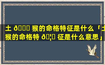 土 🐞 猴的命格特征是什么「土猴的命格特 🦈 征是什么意思」